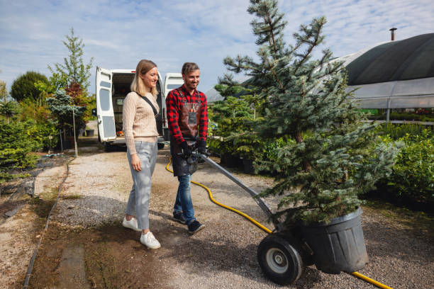 How Our Tree Care Process Works  in  Archbald, PA